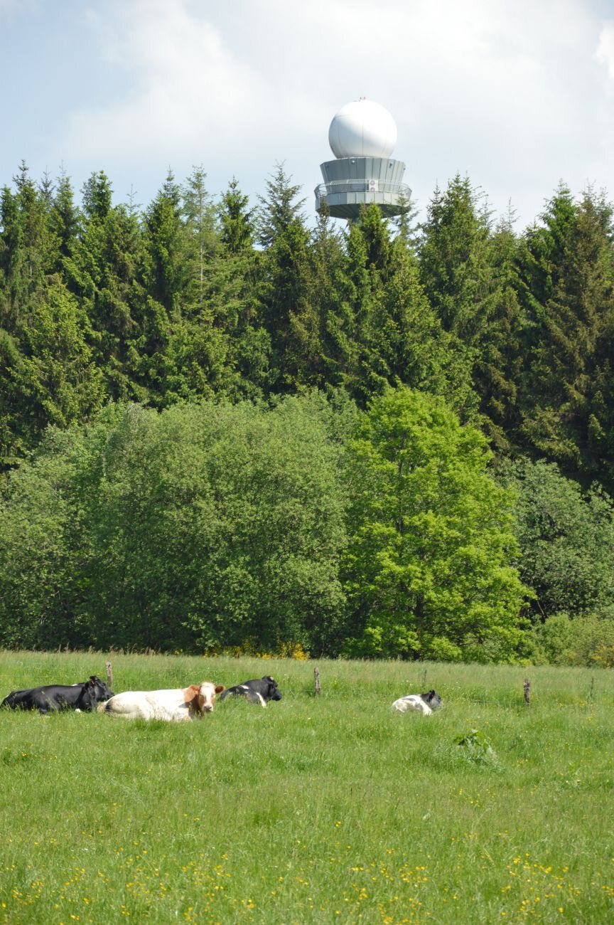 Radar météorologique Wideumont
